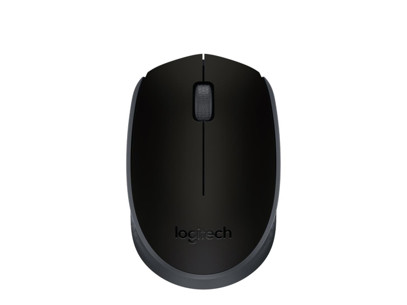 Logitech M171
